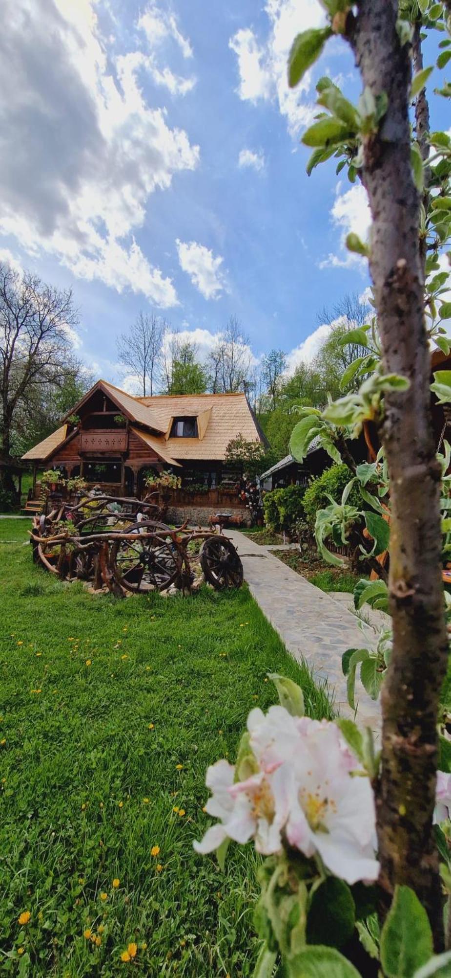 Pensiunea Rustic Oncesti Buitenkant foto