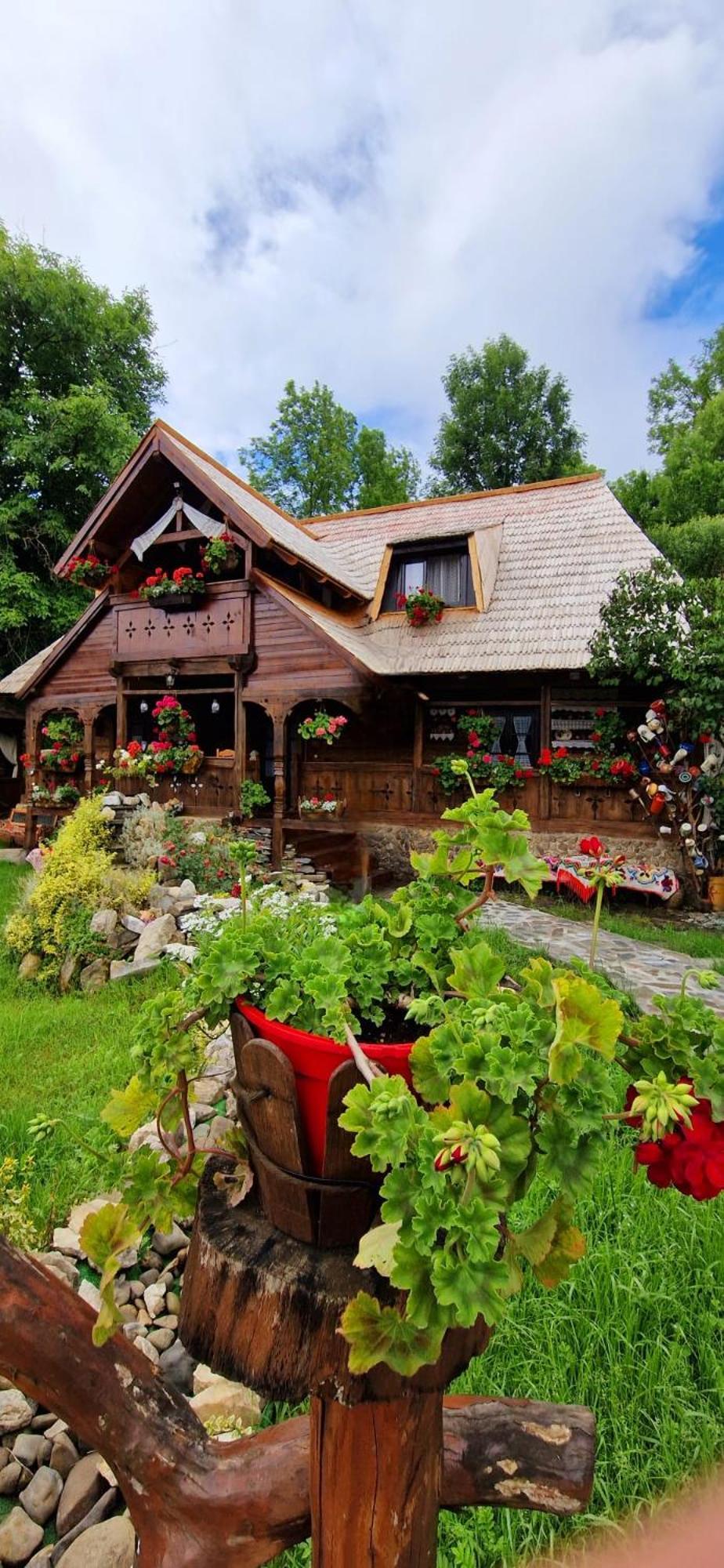 Pensiunea Rustic Oncesti Buitenkant foto